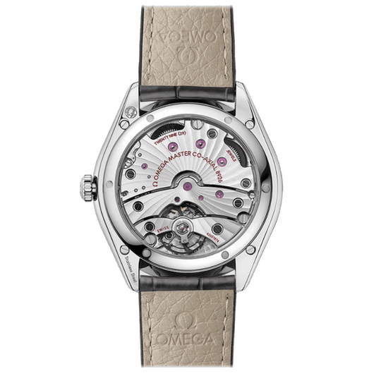Master Chronometer Clasic watch- 40mm